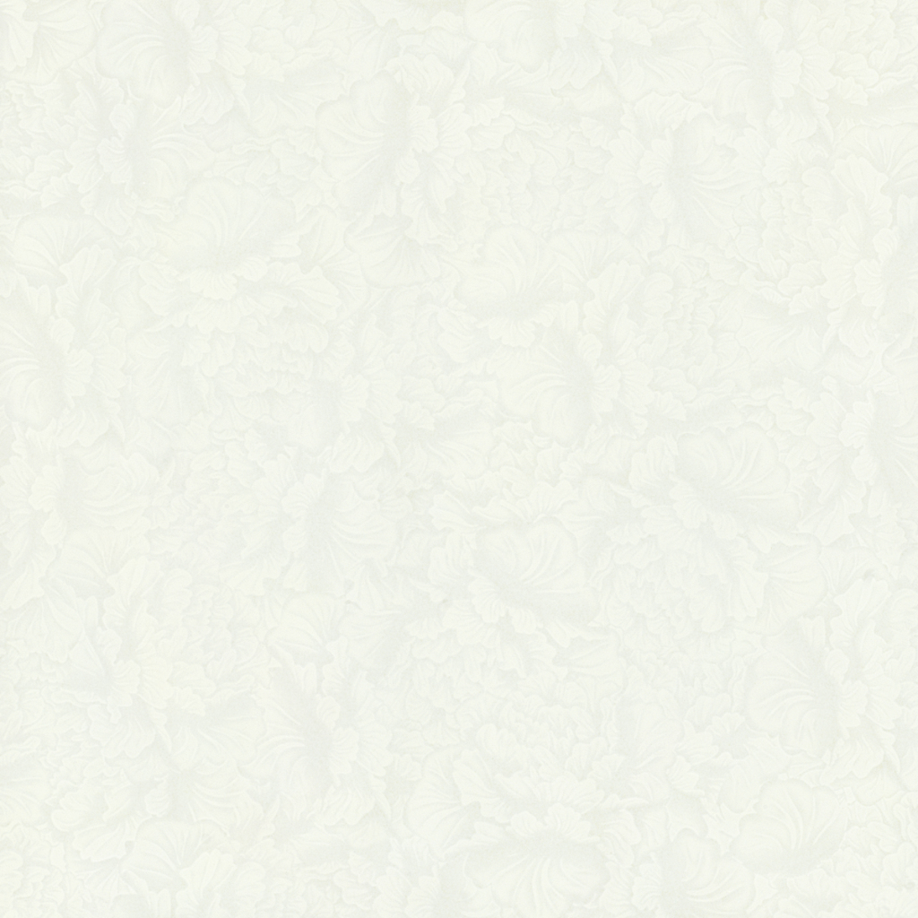 HPVB28008HPVB26008