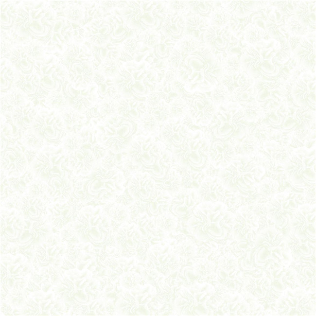 HPVB18017ʯ800X800mm
