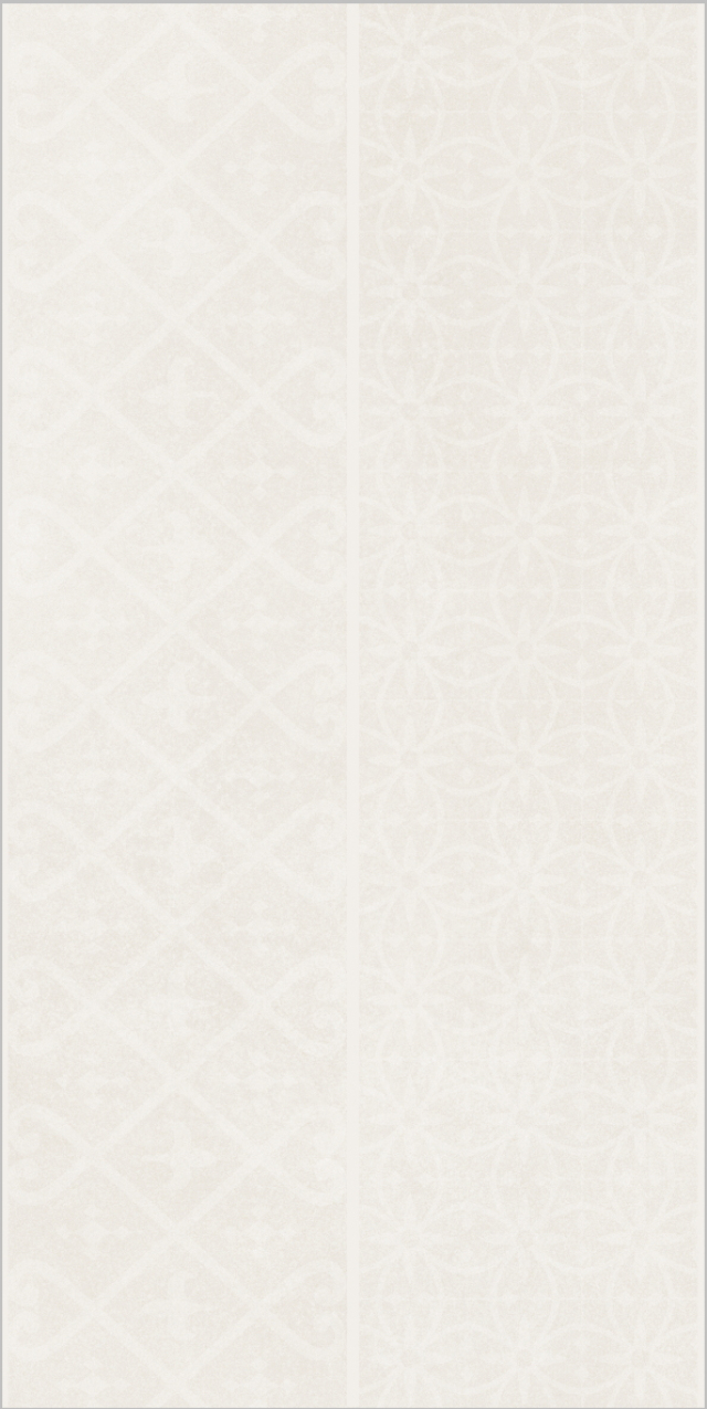 3-3E60578(300X600)2-3E60579(300X600)