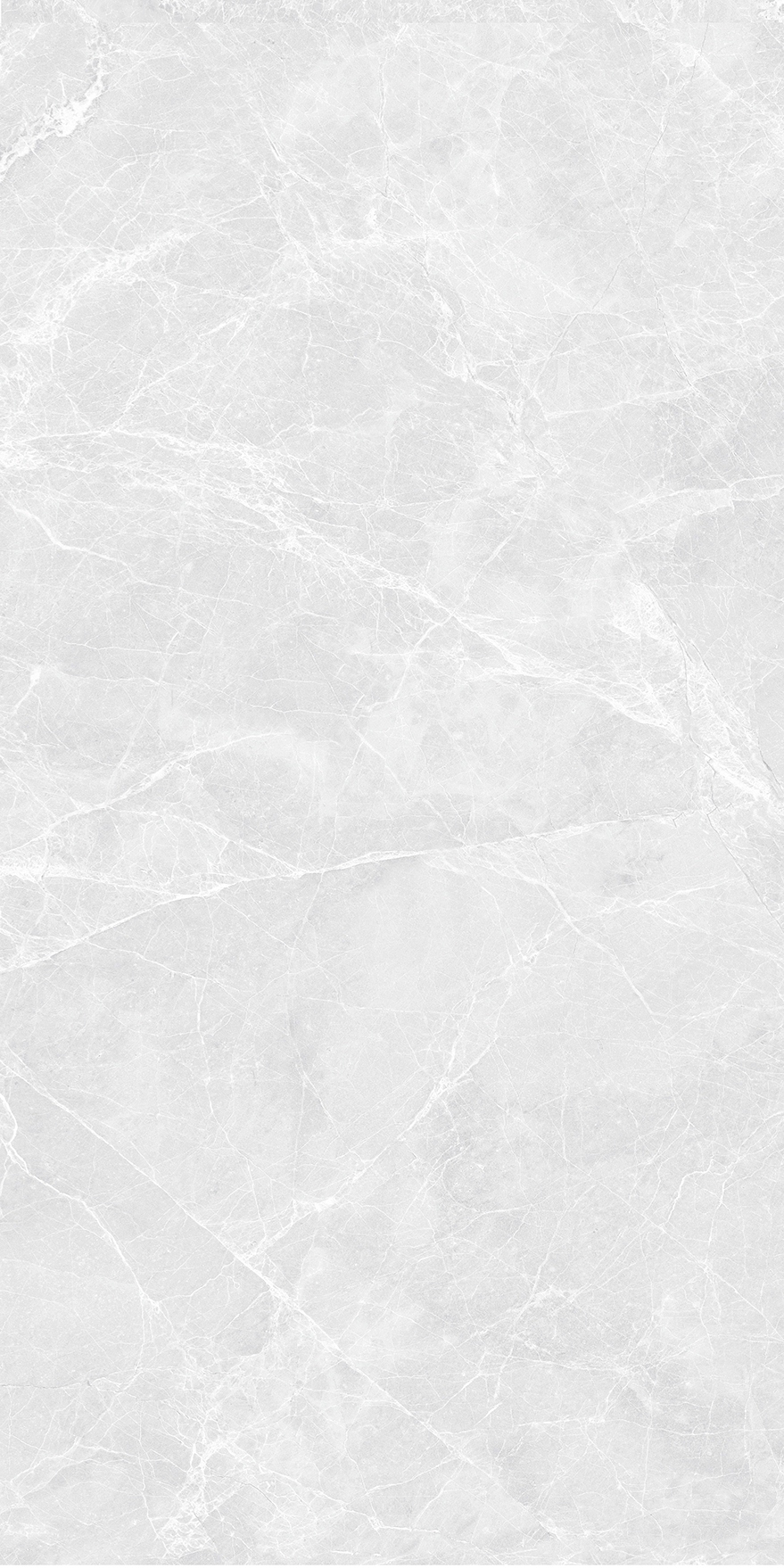 3A60631(300X600)