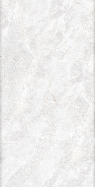 2-3E60558(300X600)3E60559(300X600)