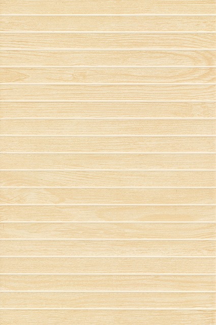 3-3E453303-3E45331(300X450mm)