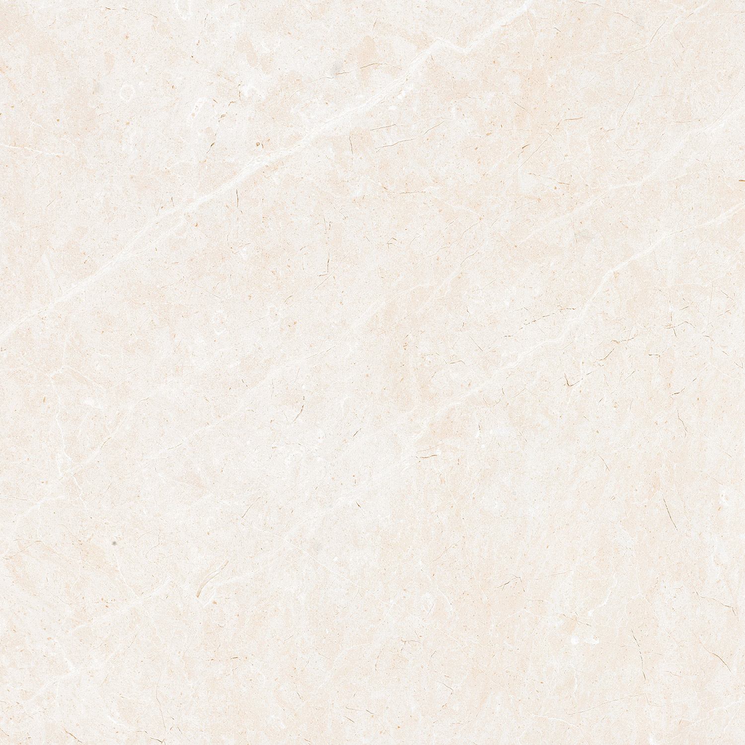 Ͱ  HPG80157  800X800MM