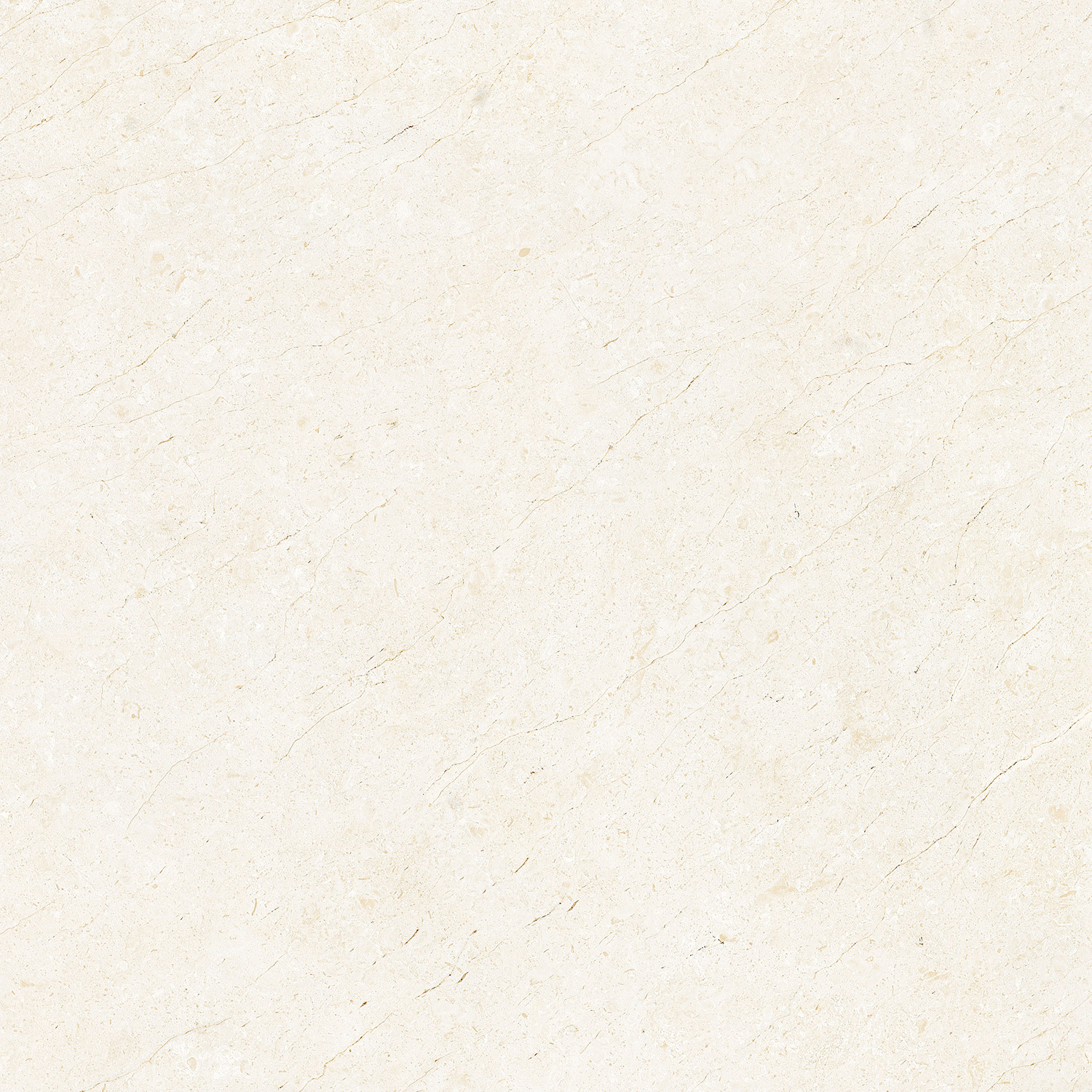׻ HPEG80011 800X800MM