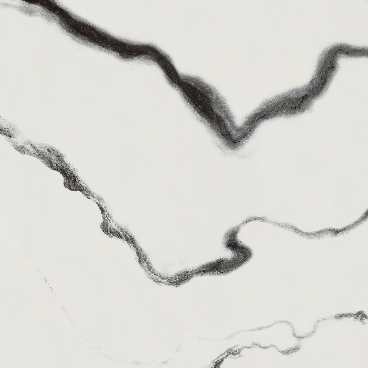 è  HPG80166 800x800