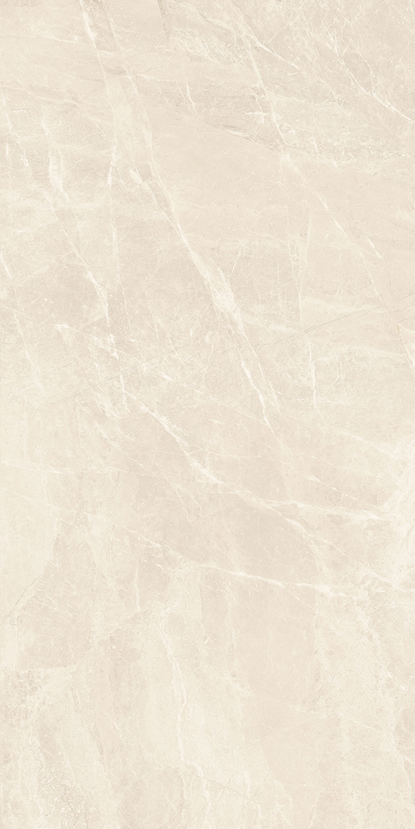 ·ʮ HYEG26027 600x1200mm