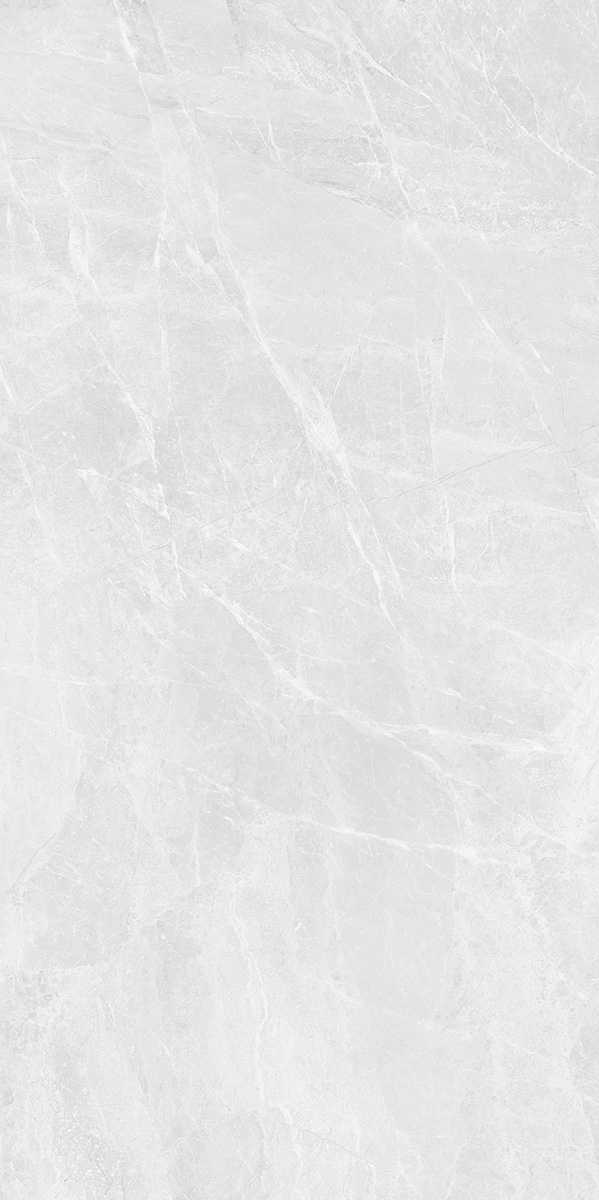 ·ʮ HYEG26035 600x1200mm