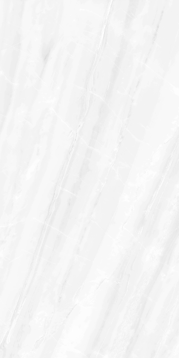 ӡ HYG26002 600x1200mm