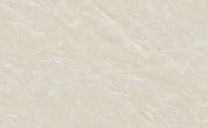 HPEG1890026·ʮ