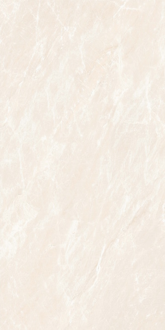 ·ʮHPEG26026V