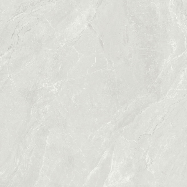 ƻʯHPGM80021