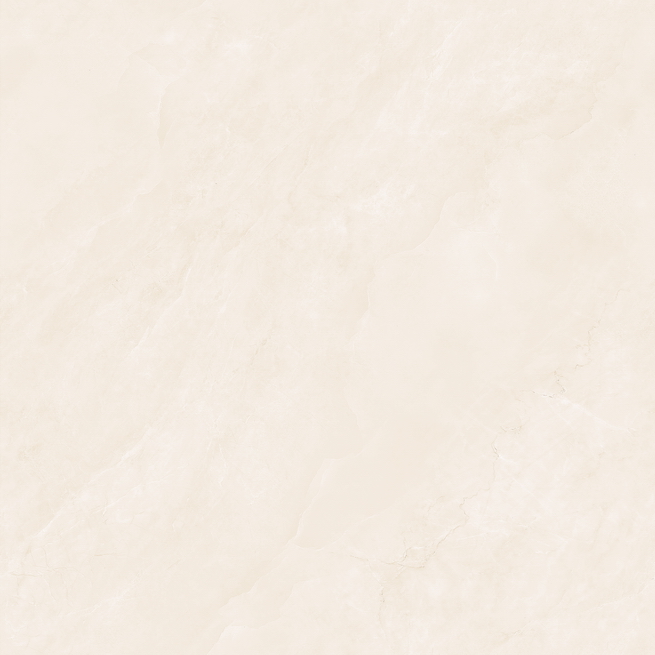 HPG80422˿