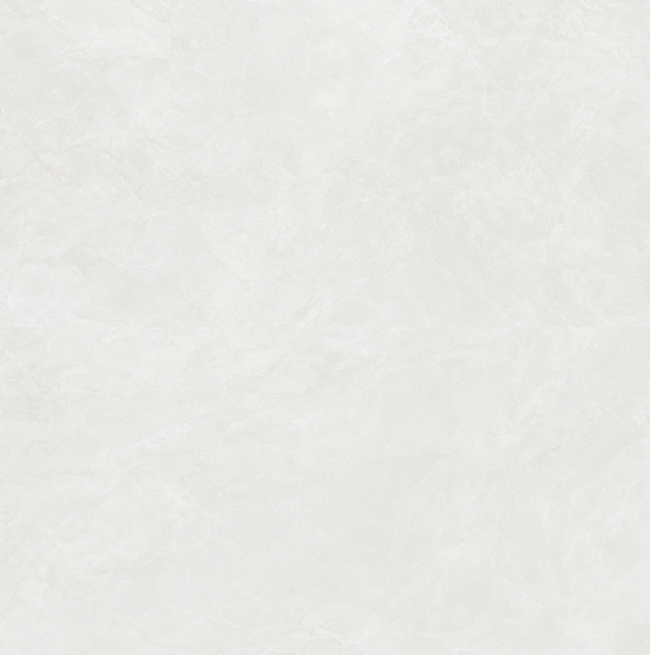 HPGR84281ŵ˹